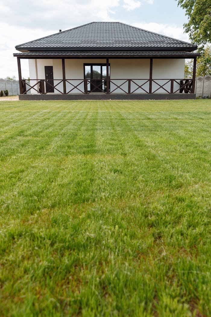 A modern house with a large freshly mowed lawn ideal for real estate or gardening themes.